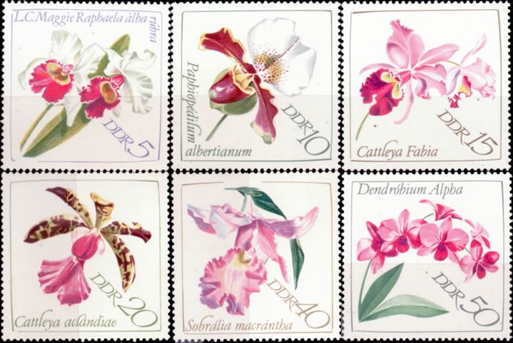 Briefmarken DDR 1968, Mi. Nr. 1420-1425, Orchideen. Postfrisch