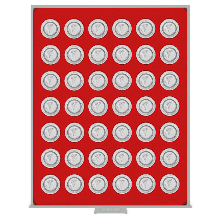 LINDNER Münzbox STANDARD mit 42 runden Vertiefungen für Münzen mit Ø29,5 mm, z.B. für deutsche 10€-Sammlermünzen mit Polymerring
