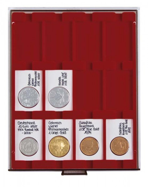 LINDNER Münzbox RAUCHGLAS mit 12 rechteckigen Fächern für REBECK COIN L Münzrähmchen 75x50 mm