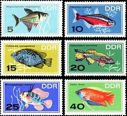 Briefmarken DDR 1966, Mi.Nr. 1221-1226, Zierfische, Postfrisch