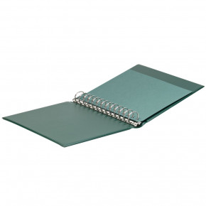 LINDNER CLASSIC Ringbinder, leer, Grün