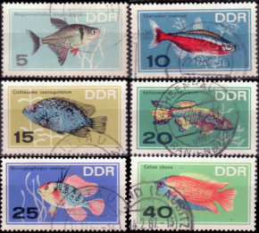 Briefmarken DDR 1966, Mi.Nr. 1221-1226, Zierfische, Gestempelt