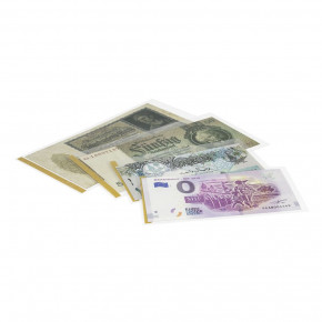 LINDNER freestyle Schutzhüllen Innenmaß 166 x 80 mm, 25er-Packung  (für US-Dollar und sonstige Belege)